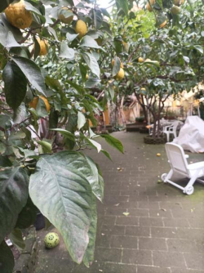 Il giardino nascosto